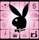 play boy